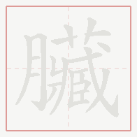 Step-by-step stroke order for 臟