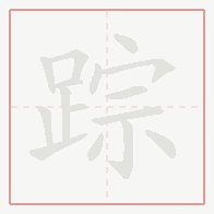 Step-by-step stroke order for 踪