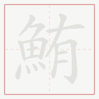 Step-by-step stroke order for 鮪