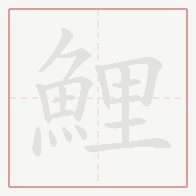 Step-by-step stroke order for 鯉