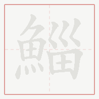Step-by-step stroke order for 鯔