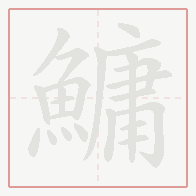 Step-by-step stroke order for 鱅