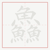 Step-by-step stroke order for 鱻