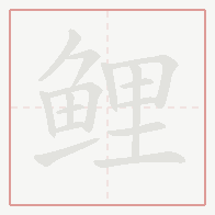 Step-by-step stroke order for 鲤