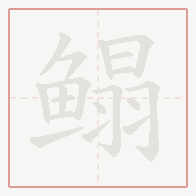 Step-by-step stroke order for 鳎