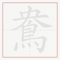 Step-by-step stroke order for 鴦