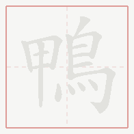 Step-by-step stroke order for 鴨