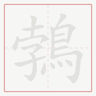 Step-by-step stroke order for 鵓
