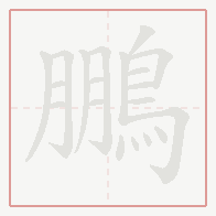 Step-by-step stroke order for 鵬