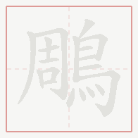 Step-by-step stroke order for 鵰