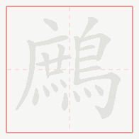 Step-by-step stroke order for 鷓