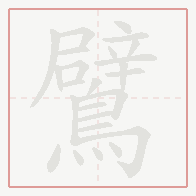 Step-by-step stroke order for 鷿