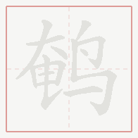 Step-by-step stroke order for 鹌