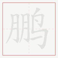 Step-by-step stroke order for 鹏