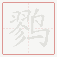 Step-by-step stroke order for 鹨