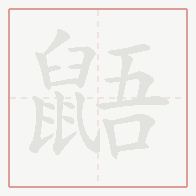 Step-by-step stroke order for 鼯